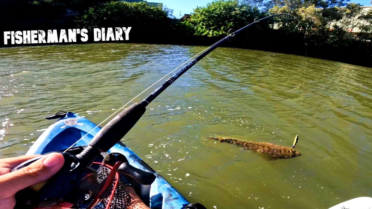 Булимба-Крик, большой плоскоголовый и портной ~ Дневник рыбака, эпизод 830
