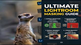 ULTIMATE Lightroom Masking Guide: Subject, Background, &amp; Gradients