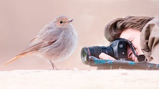 L'erreur qui gâche la netteté de vos sujets photos