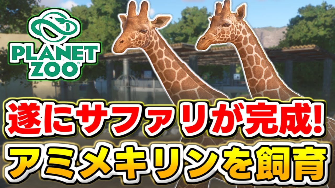 Planet Zoo] Herbivore Area Part 2! Let's raise giraffes on safari