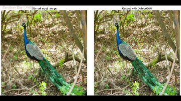 DeblurGAN | Blind Motion Deblurring |  Conditional Adversarial Network | python | tensorflow | keras