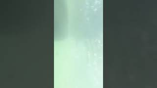 Underwater Shoot With Iphone11