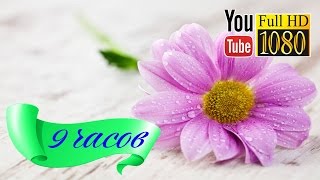 HD Музыка ✿ Лаунж 💠 Звуки Природы ✿ Рейки 💠 Музыка для Обучения - концентрации ✿ Для роботы 💠 9 h HD Музыка ✿ Лаунж 💠 Звуки Природы ✿ Рейки 💠 Музыка для Обучения - концентрации ✿ Для роботы 💠 9 h