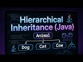 Hierarchical Inheritance in Java 💡| OOPS in Java