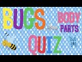 Bugs Body Parts Quiz