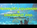 Newport Aquarium &amp; Cincinnati Zoo | During Pandemic 2021