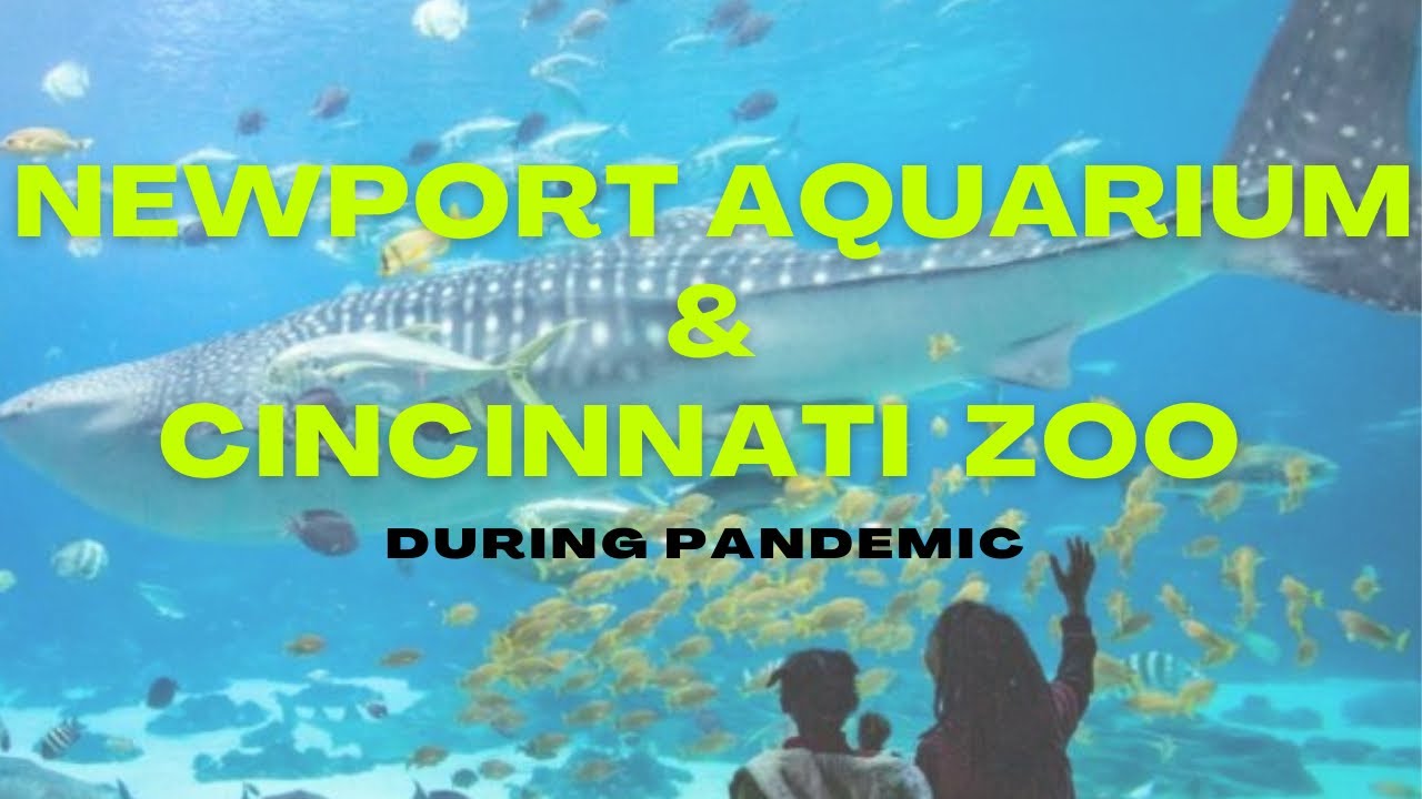 Newport Aquarium & Cincinnati Zoo During Pandemic 2021 YouTube