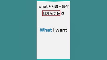 세상에서 가장 쉬운 어순 l what 하나로 원어민 뺨치는 비결 l 기초영어문법 #shorts