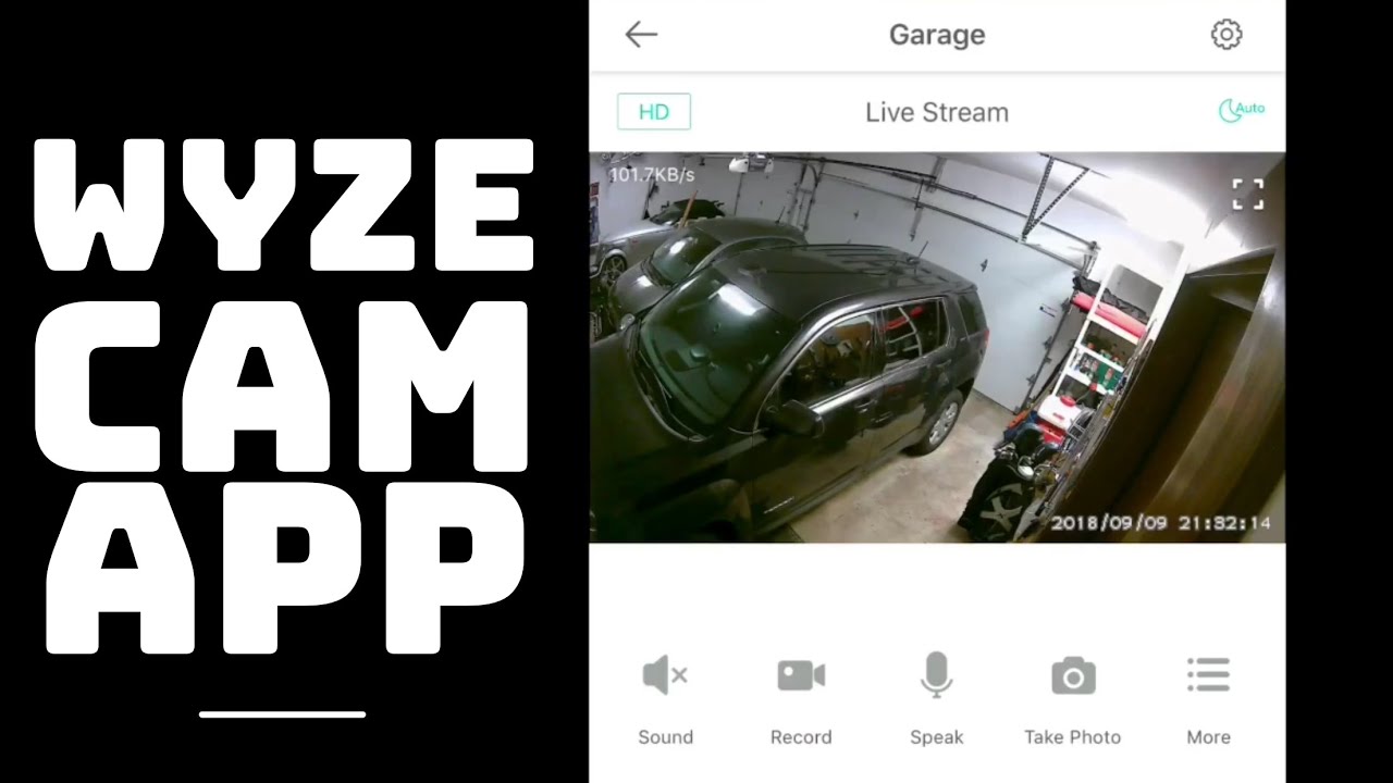 Reorganizar Araña de tela en embudo Proscrito Wyze Cam App Features and Functionality - YouTube