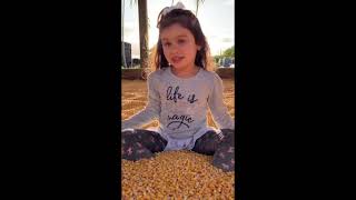 Gozando En La Piscina De Maiz