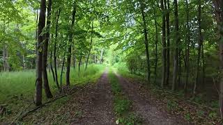Sooner or Later, the Sun Always Finds a Way | Summer Walk Along the Lech River, Bavaria 4K