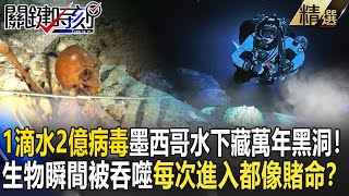 【精選】「1滴水2億病毒」墨西哥水下藏13000年「死亡黑洞」！生物瞬間被吞噬…每次進入都像賭命！？【關鍵時刻】-劉寶傑 黃創夏 朱學恒 劉燦榮 王瑞德