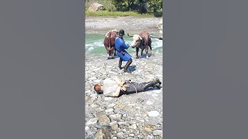 E.941 Simulate stunning survival skills #shorts #viral