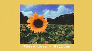 𝚃𝚑𝚎𝚜𝚎 𝚍𝚊𝚢𝚜 - 𝚆𝚊𝚕𝚕𝚘𝚠𝚜 𝙨𝙡𝙤𝙬𝙚𝙙 𝙧𝙚𝙫𝙚𝙧𝙗