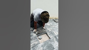 Cutting concrete pavers #subscribe #diy #pavers #1k #shorts #gartenbau #garden #gardendesign