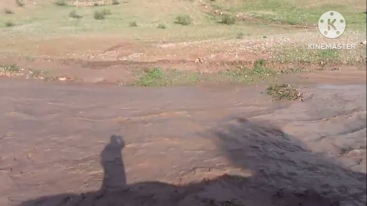 حملة كبيرة ماشاءالله أجواء طبيعة ليوم كامل أجبال و الويدان طبيعية 💚💚😍