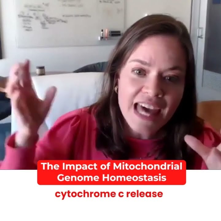 The Impact of Mitochondrial Genome Homeostasis