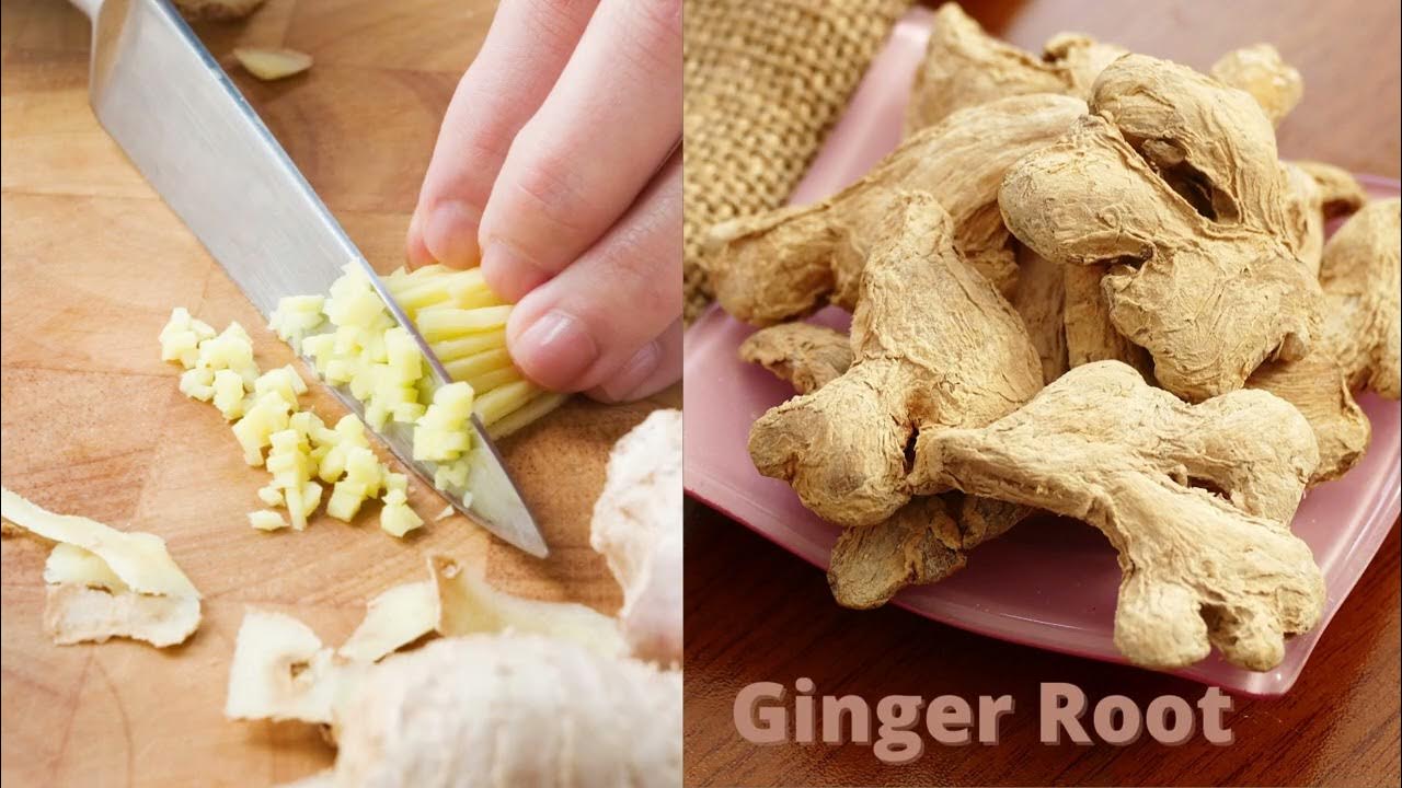 Ginger for Dogs & Cats YouTube