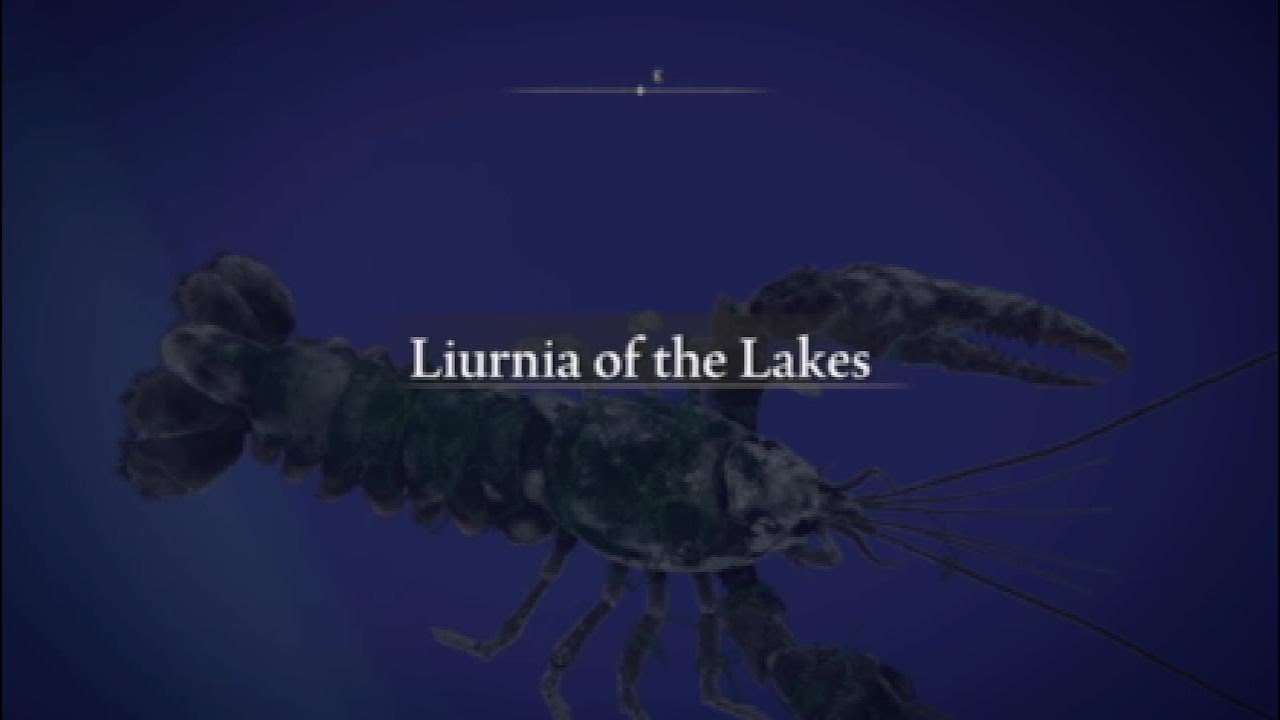 Blue Lobster jumpscare YouTube
