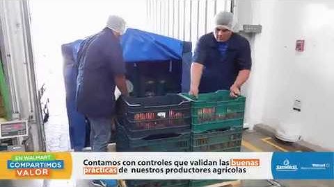 Planta Hortifruti