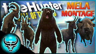 SO MANY RARES! Melanistic Montage #1 | theHunter Call of the Wild