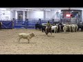 11 11 23 ACHA Last Chance Belton TX Carl Veasley BET THATS JOLENEE 2K LR 71 