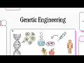 Genetic Engineering - 🧬 The Science, Regulation, and Global Impact of GMOs