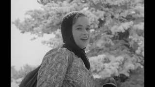 Beast from Haunted Cave (1959)