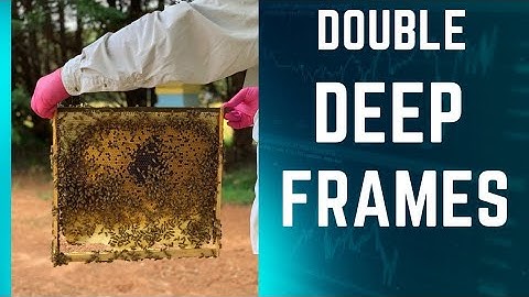 GOLDEN Hybrid Beehive 🐝 Double Deep Bee Frames