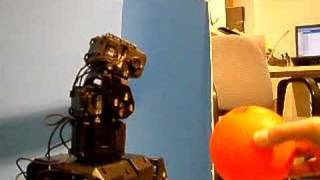 HaViMo, vision module for bioloid. It can now track the ball