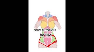 how to draw anatomy #artyoutuber #artgrowth