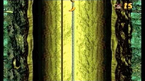 Donkey Kong Country 3: Dixie Kong