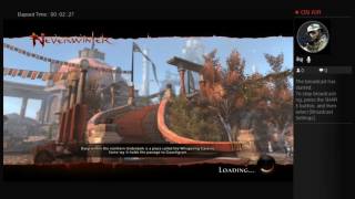 Neverwinter - DPS - Control Wizard