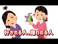 インコは人間に一目惚れをしない！？動物は好き・嫌いがハッキリしている.その理由とは？cockatiel【オカメインコのきなこ】