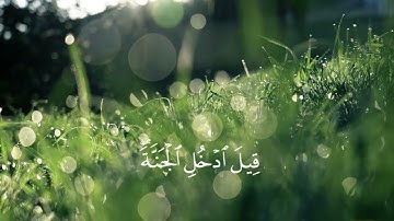محمد هشام سورة يس {إني آمنت بربكم فاسمعون}
