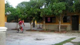 Imagen 049.avi