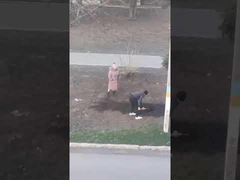 В Першотравенске жители зарыли труп собаки на городской аллее