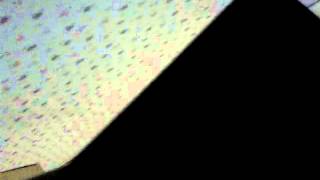 Spongebob Slimy Dancing