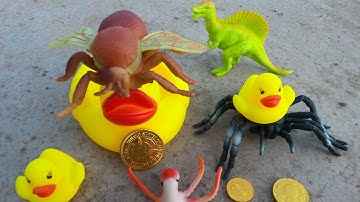 Con bò dẫn đường nhặt các con vật đồ chơi, con vịt, con khủng long, con nhện. part-59