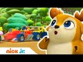 Лесная команда | Кай-экспресс | Nick Jr. Россия