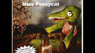 Video thumbnail of "Quintron & Miss Pussycat - Swamp Buggy Badass"