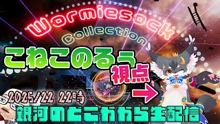 【VRChat】JPWormiesock Collection（こねこのるぅ視点）【そばぷろっ！ / こねこのるぅ】
