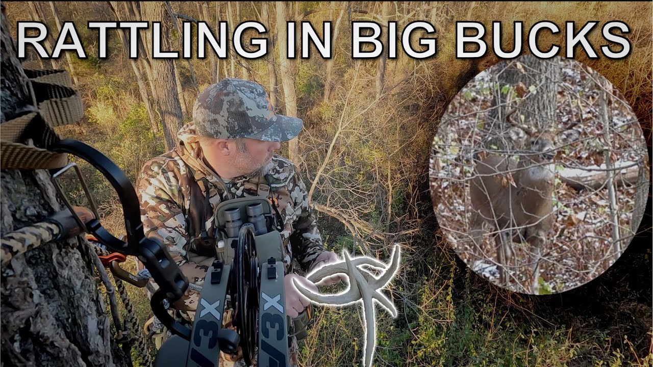 RATTLING IN BIG BUCKS YouTube