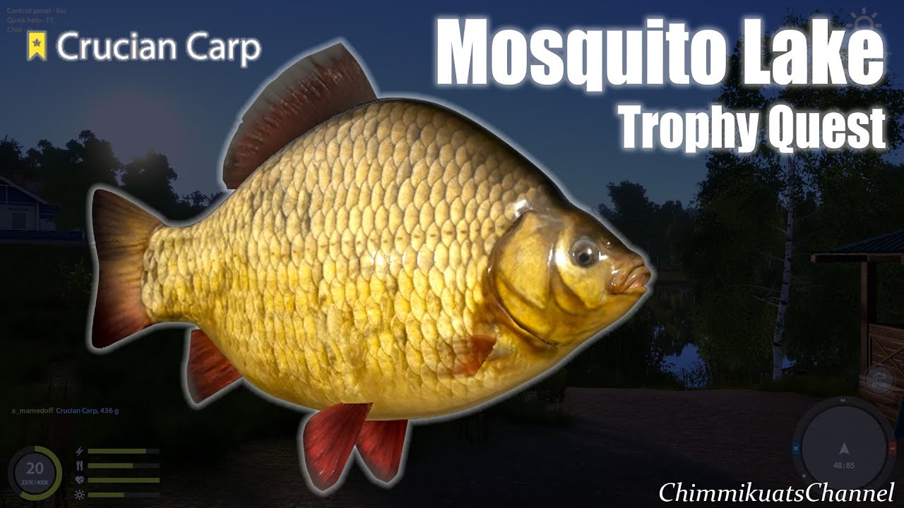 Russian Fishing 4 Mosquito Lake Trophy Quest Crucian Carp [Big Fishie spot!] YouTube