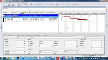 Level of Effort Percent Complete - Primavera P6 Tutorial
