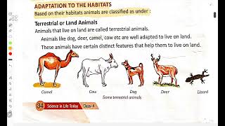 An Introduction to Animal Adaptation in Hashim Sir Yme
