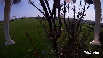 Syma  x8c crash into tree pt 1