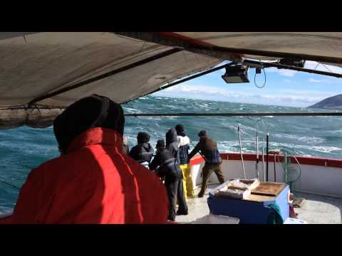 IMG 26021