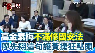 【#原音重現】高金素梅不滿「國安法」修嚴 開轟：遣制人民思想 廖先翔脫口「國民黨立委被認為在立院足以危害國安」…黃捷爆笑狂點頭認同｜三立新聞網 SETN.com