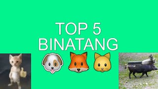 Top 5 Binatang...